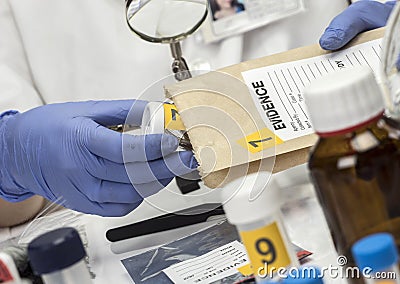 Police specialized taking sample of hair of a bag of evidence in forensic laboratory Stock Photo