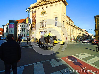 Police woman on horses in the middle of crossroad Editorial Stock Photo