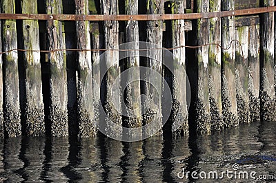 Poling Board Stock Photo