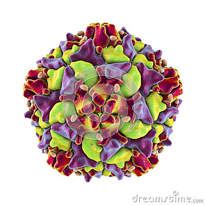 Poliovirus, an RNA virus that causes polio disease Cartoon Illustration