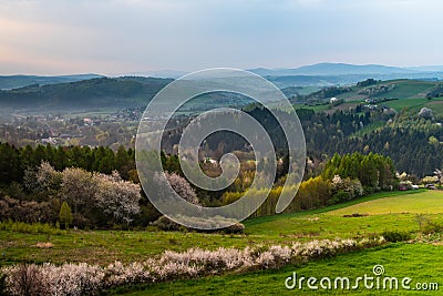 Polish Countryside at Spring. Colorful Lush Trees and Pasture Stock Photo