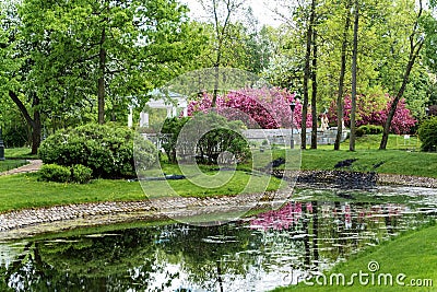 Polish garden at the Derzhavin estate. Gorgeous spring bloom. Pond, bridge Stock Photo