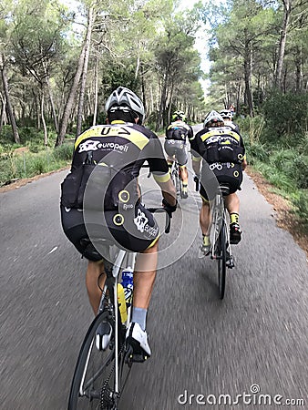 Polish cycling team training in Mallorca Editorial Stock Photo