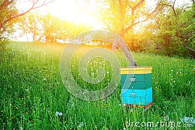 Polish landscape with beehives on ecological field Stock Photo