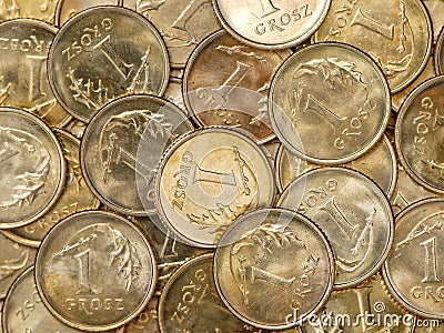 Polish one grosz coins Stock Photo