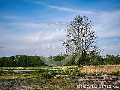 Polish, peaceful, idyllic pristine landscape. Stock Photo