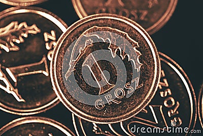 Polish Single Grosz Coin Stock Photo