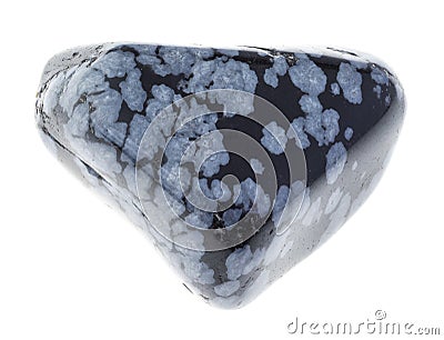 polished gray snowflake obsidian gemstone on white Stock Photo