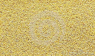 Polished millet -texture and details - traditional food Stock Photo