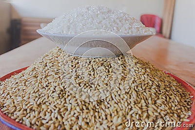 Polished rice in plate on top of big plate of paddy or unhusked rice Stock Photo