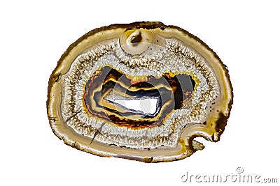 Polished slice of Agate and Quartz, isolated on white background. Stock Photo