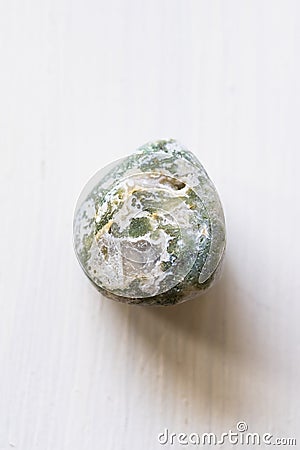 Polished tree agate gemstone on a white background Stock Photo
