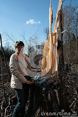 Politician Evgeniya Chirikova in the Khimki felled forest that she was protecting Editorial Stock Photo