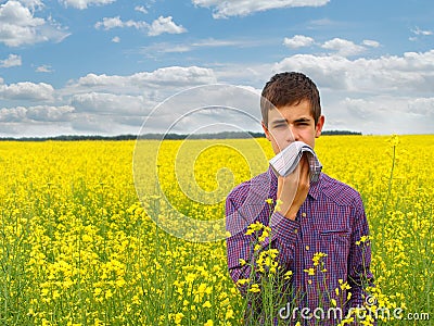 Pollen Allergy Stock Photo