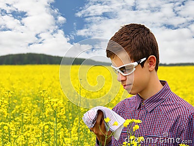 Pollen Allergy Stock Photo