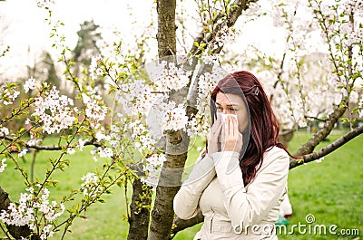 Pollen allergy Stock Photo