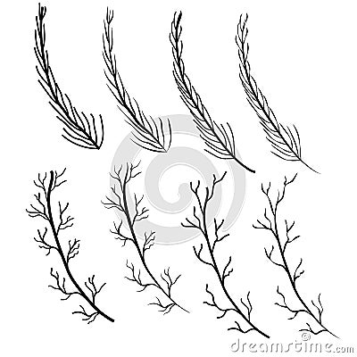 Pollen carpel branch tree pollen nature Line Cartoon Illustration