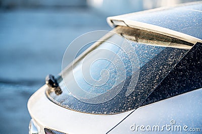 Pollen on the hood of a car. Allergy season. Need wash. Stock Photo