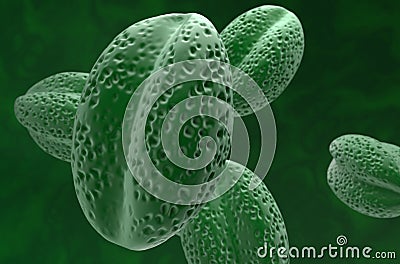 Grass pollen grains - closeup view 3d illustration Stock Photo