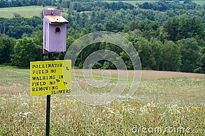 Pollinator Field Sign and Birdhouse With Flowers and Meadow in Background Stock Photo