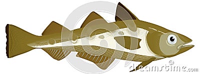 pollock fish vector illustration transparent background Cartoon Illustration