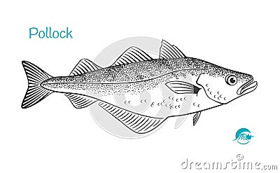 Pollock hand-drawn illustration Vector Illustration