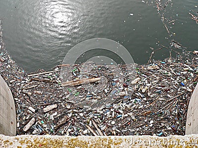 Polluted lake. Pollution in water. Plastic bottles. Diseases and illnesses Stock Photo