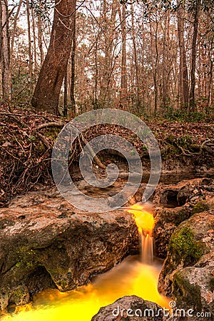 Polluted water Stock Photo