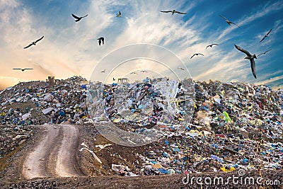 Pollution concept. Garbage pile in trash dump or landfill. Birds flying around Stock Photo