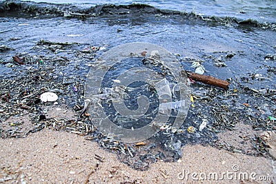 Pollution effect of plankton bloom Stock Photo