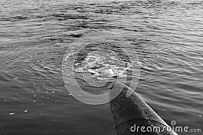 Discharge of toxic or contaminated water into a river or lake. Stock Photo