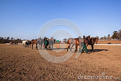 Polo Grounds Grooms Horses Shongweni Hillcrest Editorial Stock Photo