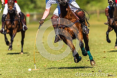 Horses Polo Players Field Game Abstract Action Stock Photo