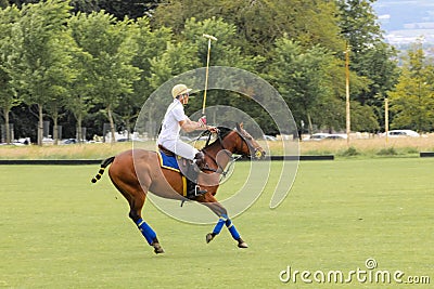 Polo player. Argentine cup. Dublin. Ireland Editorial Stock Photo