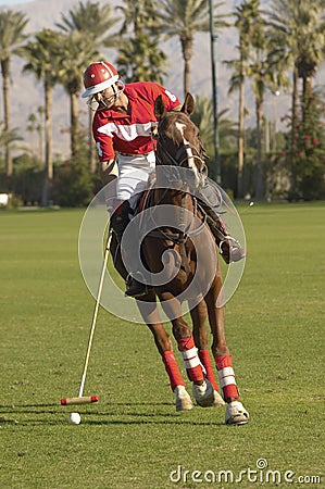 Polo Player Swinging At Ball Stock Photo