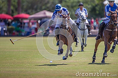Polo player swings at ball Editorial Stock Photo