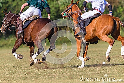 Polo Riders Horses Unidentified Game Action Editorial Stock Photo