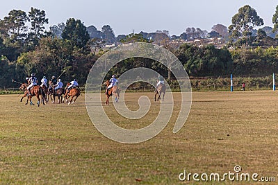 Polo Riders Horses Game Action Editorial Stock Photo