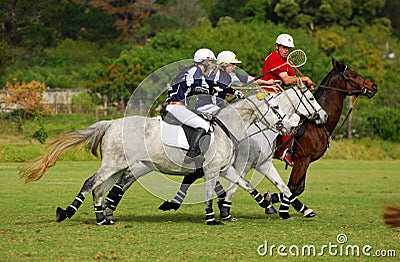 Polocrosse players on their horses Editorial Stock Photo