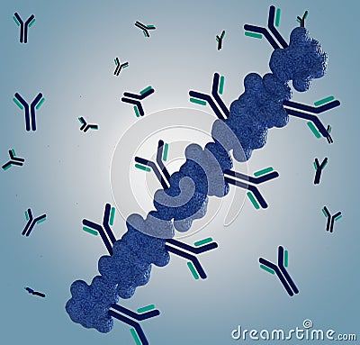 Poly Protein G with Detection Antibodies to enhance Immunoassays sensitivity Stock Photo