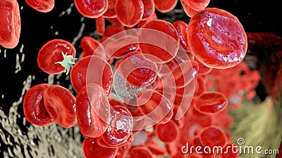 Polycythemia, an increase in the number of red blood cells in the body Cartoon Illustration