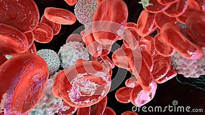 Polycythemia, an increase in the number of red blood cells in the body Cartoon Illustration