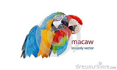 Polygon Graphics two bird macaw parrot isolated on a white background illustration Stock Photo