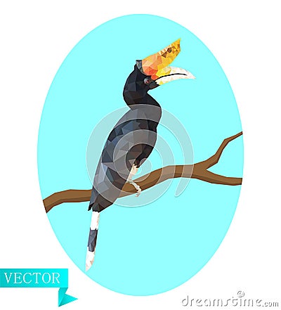 Polygon Hornbill calao, bucerotidae. Sitting on a branch on a background of light blue oval. Vector Illustration