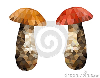 Polygon picture two boletus mushroom Vector Illustration