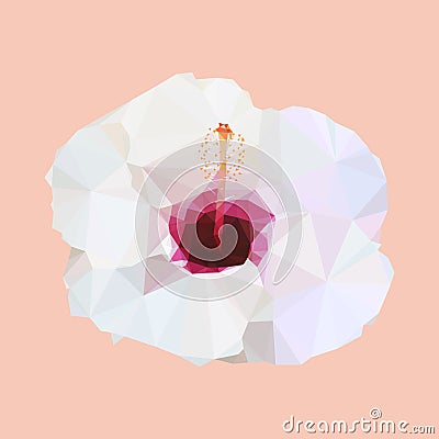 Polygon white hibiscus. poly low geometric triangle flower Vector Illustration