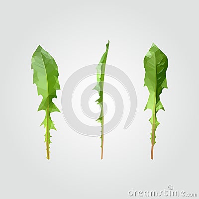 Polygonal dandelion leaves Vector Illustration