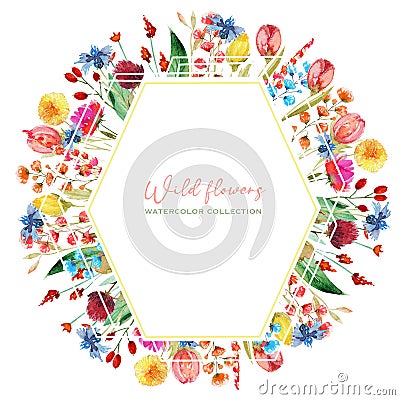 Polygonal frame of watercolor cornflowers, dandelion, clover and other wildflowers Cartoon Illustration