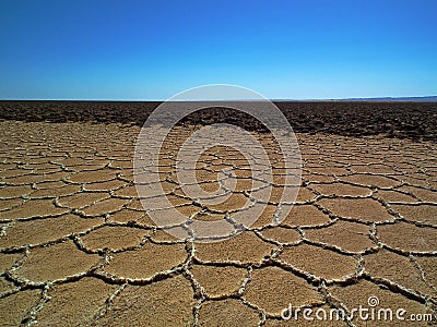 Salt flat polygons in desert Stock Photo