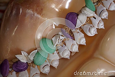 Polynesia shell necklage Stock Photo